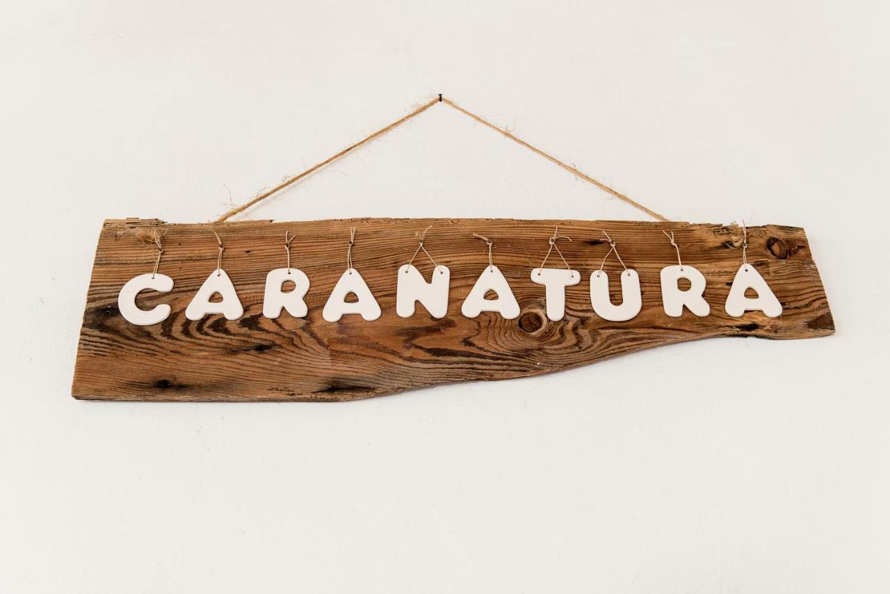 Caranatura